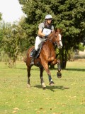 MAX02904