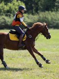 IMG_4140 IMG_4140