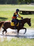 IMG_4142 IMG_4142