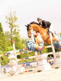 DSC02796 DSC02796