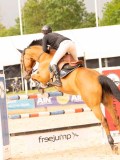DSC02798 DSC02798