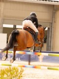 DSC02814 DSC02814