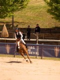 DSC07336 DSC07336