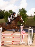 DSC07348 DSC07348