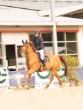 DSC01238 DSC01238