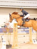 DSC01245 DSC01245