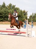DSC08295 DSC08295