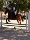 DSC08298 DSC08298