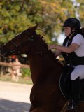 DSC08299 DSC08299