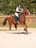 DSC08300 DSC08300