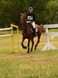 DSC09533 DSC09533