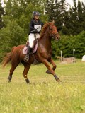 DSC09556 DSC09556