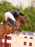 DSC02544 DSC02544