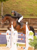 DSC02546 DSC02546
