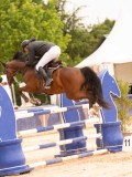 DSC02565 DSC02565