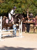 DSC08319 DSC08319