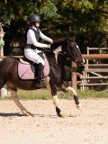 DSC08320 DSC08320