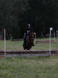IMG_4114 IMG_4114