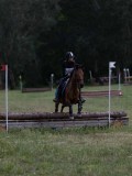 IMG_4115 IMG_4115