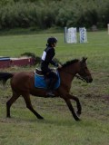 IMG_4117 IMG_4117