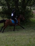 IMG_4118 IMG_4118
