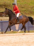 DSC00544 DSC00544