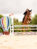 DSC02343 DSC02343