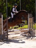 DSC08323 DSC08323