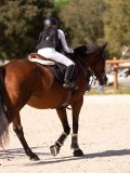 DSC08340 DSC08340