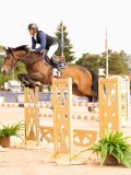 DSC01734 DSC01734