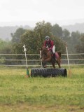 DSC09568
