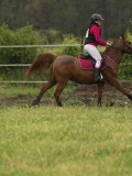 DSC09573