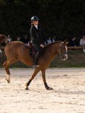DSC00110