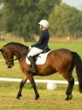 DSC00187