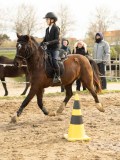 DSC04984
