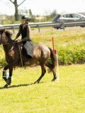 DSC03104