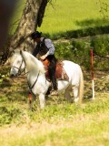 DSC02719