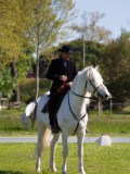 IMG_0804