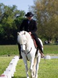 IMG_0809
