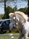 IMG_0250
