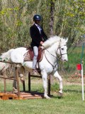 IMG_0528