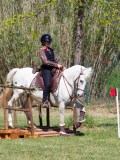 IMG_0538