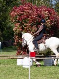 IMG_0540