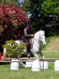 IMG_0541