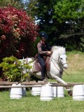IMG_0542