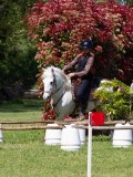 IMG_0545