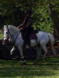 IMG_0549