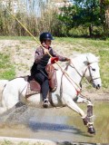 IMG_0555