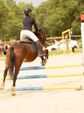 DSC08564 DSC08564