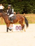 DSC08567 DSC08567
